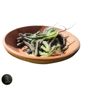 CHONGAN (چونگاں) 1KG