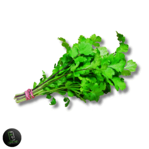 CORIANDER (دھنیا) BUNDLE