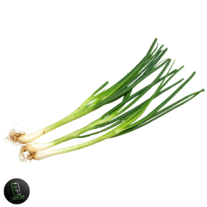 GREEN ONION (سبز پیاز) 1KG