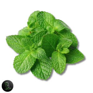 MINT (پودینہ) BUNDLE