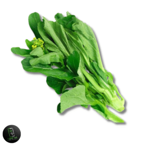 SAAG (ساگ) BUNDLE