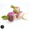 TURNIP ( شلجم ) 1/2KG